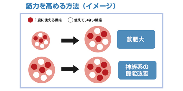 Ϥˡ